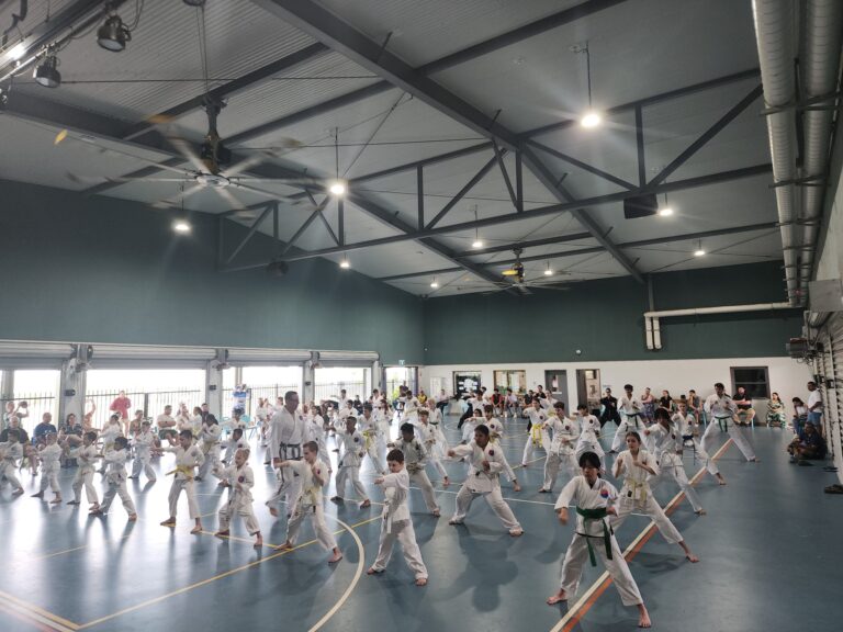 General Classes – (Cairns) Taekwondo Classes